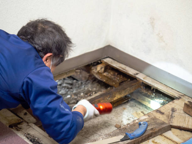 Water Damage Restoration in Wellsville, UT