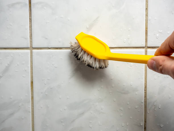 Best Toxic Mold Removal  in Wellsville, UT
