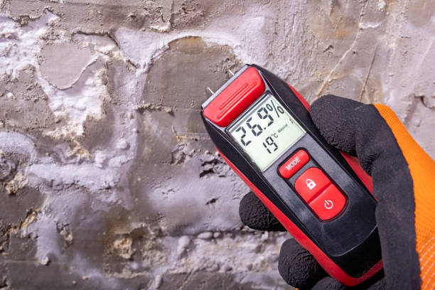 Best Water Damage Restoration  in Wellsville, UT
