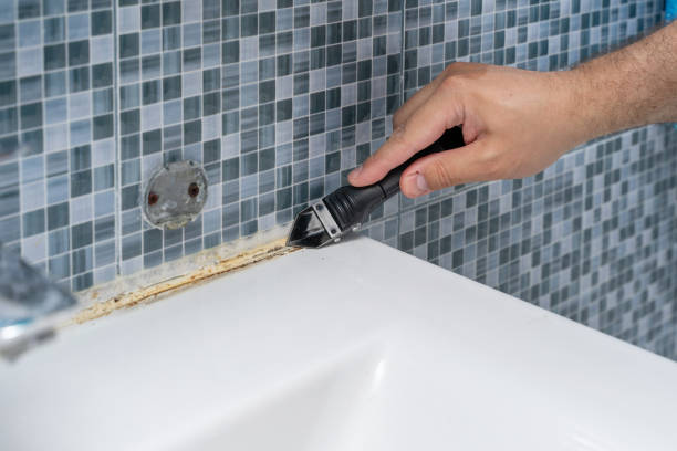 Best Mold Testing and Removal  in Wellsville, UT