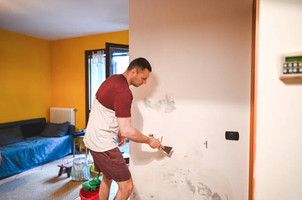 Best Professional Mold Removal  in Wellsville, UT